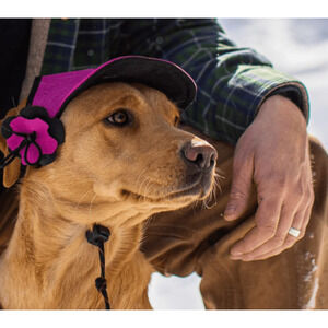 Stormy Kromer SK Pet Dog Bandana Checkered Red Poppy Size LARGE NEW